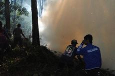 Kebakaran Landa Hutan Lindung di Ambon  