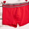 Celana Dalam Brief vs Boxer, Mana yang Lebih Baik untuk Sperma?