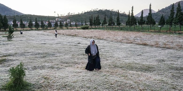 Wisatawan menikmati embun beku yang muncul akibat penurunan suhu hingga minus tujuh derajat celcius di kompleks Candi Arjuna, di dataran tinggi Dieng, Banjarnegara, Jawa Tengah, Selasa (25/6/2019). Embun beku yang muncul akibat penurunan suhu ekstrem hingga di bawah nol derajat celcius, telah terjadi sebanyak sepuluh kali sejak pertengahan Mei, dan menjadi daya tarik bagi wisatawan.