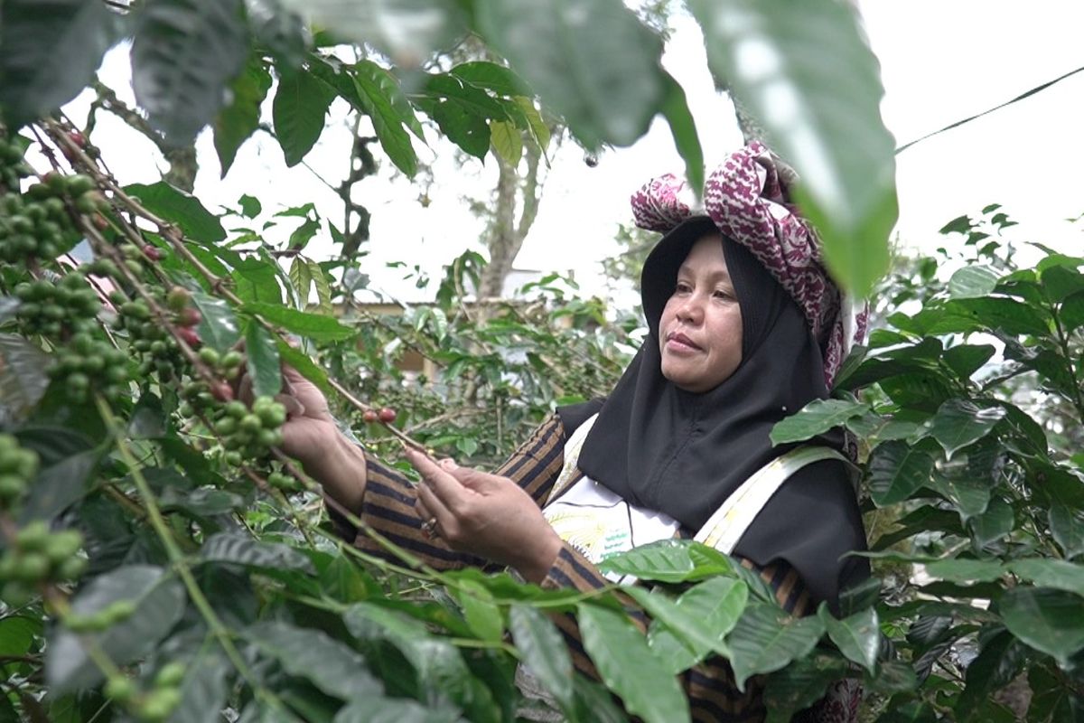 Melalui Desa Devisa, tenun, sagu,dan kopi gayo jadi produk penggerak ekspor