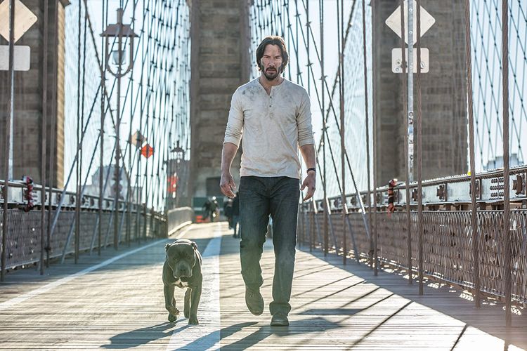 Sinopsis John Wick 2 Tayang di TV Malam Ini, Kembali Terlibat Misi Membunuh  Akibat Sumpah di Masa Lalu - ShowBiz