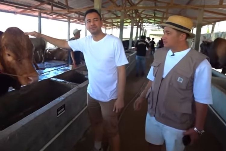 Borong Hewan Kurban di Peternakan Irfan Hakim, Raffi Ahmad Pilih Sapi hingga Kerbau
