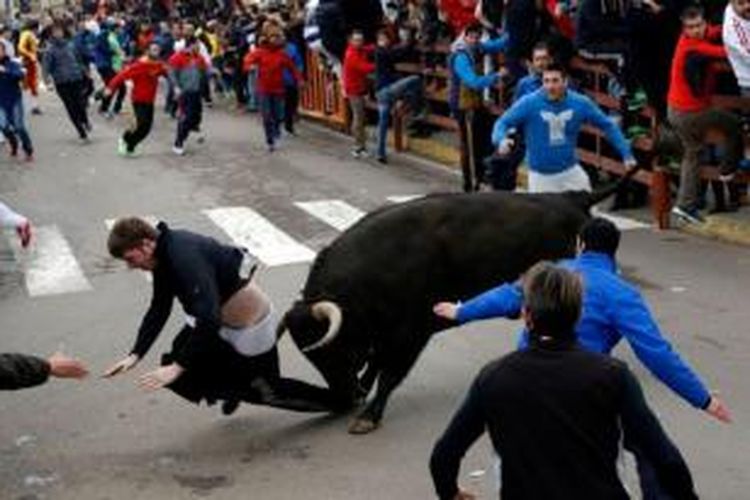 Seorang pemuda diseruduk banteng dalam sebuh festival tahunan di sebuah kota di Spanyol.