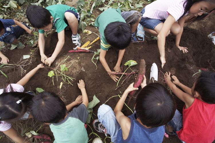 Ajarkan anak-anak untuk berkebun dan menanam makanan