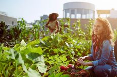 Bukan Sekadar Hobi, Ini 9 Manfaat Rooftop Garden