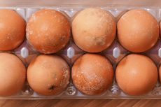 4 Cara Mudah Mengetahui Apakah Telur Sudah Busuk di Kulkas