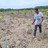 Restorasi Mangrove Bukan Sekadar Menanam Lalu Ditinggal