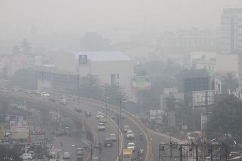 6 Jam Sekali, Menhub Cek Kondisi Kabut Asap Riau