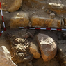Arkeolog Temukan Kuil Kuno Berusia 4.500 Tahun di Dekat Kairo