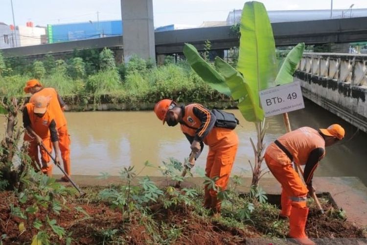 Pemerintah Kota Jakarta Timur menanam 150 pohon di kolong Tol Becakayu, Cipinang Melayu, Jakarta, Minggu (23/10/2022). 