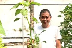 5 Tips Berkebun Hidroponik ala Ignasius Jonan, Pilih Bibit sampai Bikin Tempat Tanaman