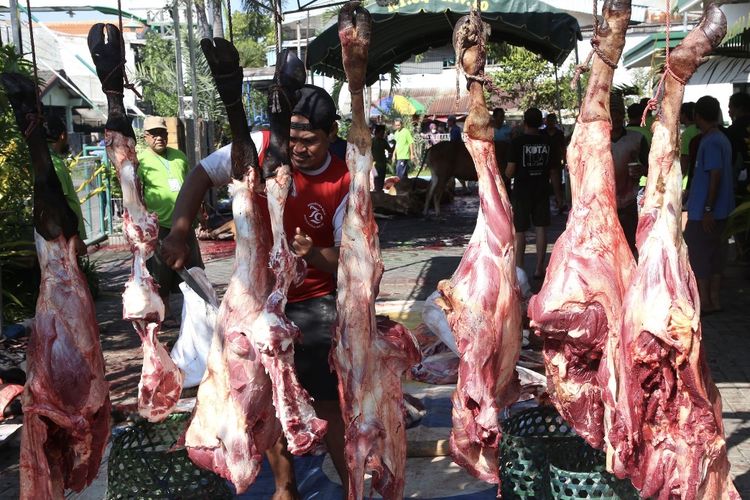Ditemukan Cacing Hati dan Pita pada Hewan Kurban di 21 Lokasi Surabaya