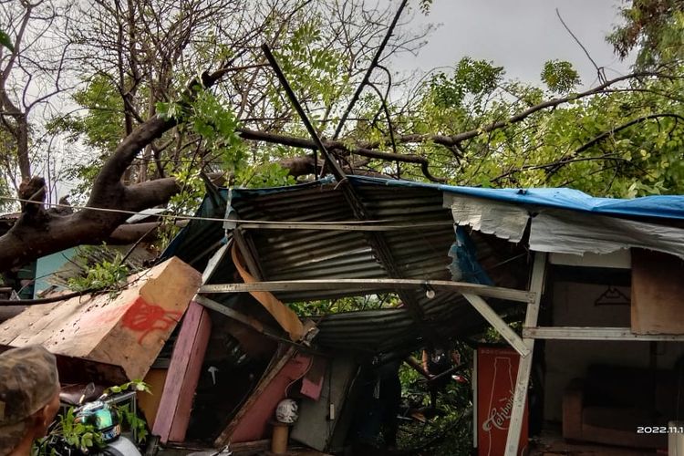 Sebuah pohon tumbang di belakang kompleks apartemen dan mal di Jalan Mandalika Raya, Tanjung Duren, Grogol Petamburan, Jakarta Barat, pada Kamis (10/11/2022) malam. 