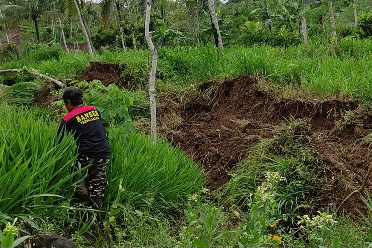 Seorang warga di salah satu titik lokasi tanah gerak dan amblas, di Desa Ngrandu Kecamatan Suruh Kabupaten Trenggalek Jawa Timur, Rabu (18/12/2024).
