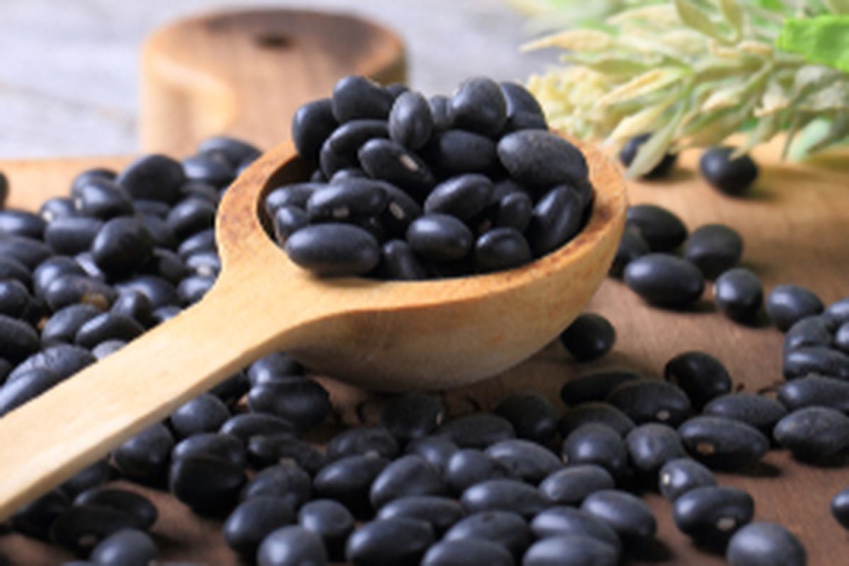 Kedelai hitam yang sudah dipanen