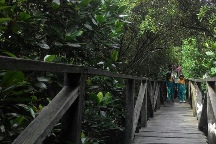 Kawasan lindung mangrove Margomulyo merupakan salah satu lokasi wisata warga Balikpapan, Kalimantan Timur. Di sana, masih bisa ditemukan keriuhan puluhan monyet hidung belanda atau bekantan di waktu-waktu tertentu.