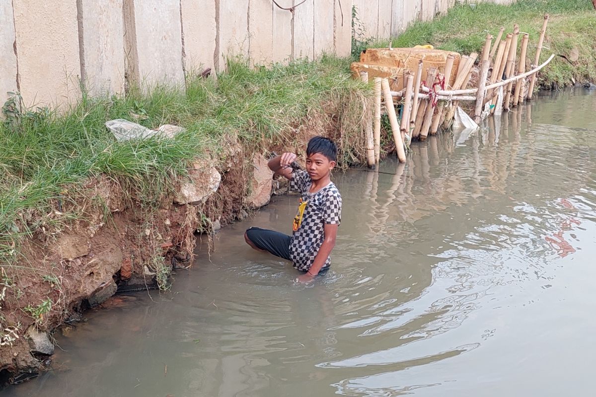 Seorang warga yang menangkap lobster saat ada fenomena ikan mabuk di Sungai Cisadane, Kota Tangerang, Selasa (12/10/2021).