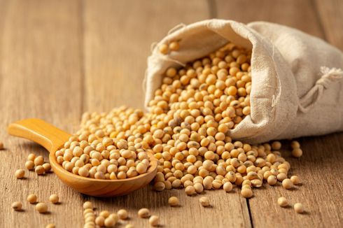 Kandungan Nutrisi dan Manfaat Kacang Kedelai untuk Kesehatan