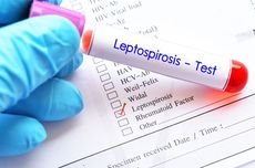 Tanda dan Gejala Leptospirosis, Kenali agar Tak Terlambat Ditangani
