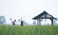 Petani Jatim Apresiasi Tambahan Pupuk Subsidi Senilai Rp 28 Triliun