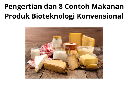 Pengertian dan 8 Contoh Makanan Produk Bioteknologi Konvensional