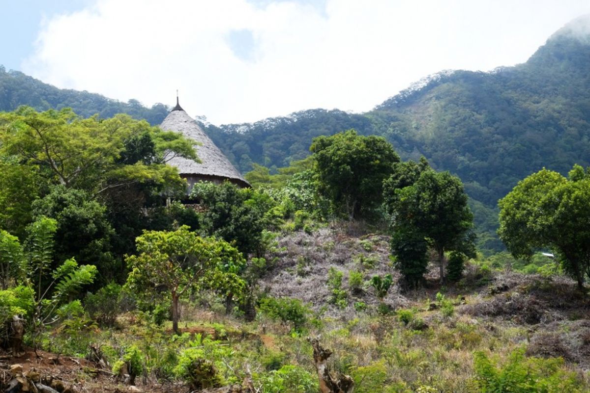 Perpustakaan baru di Waerebo, Manggarai Barat, NTT, Selasa (13/11/2018).