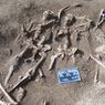 Misteri Menghilangnya Virus Mematikan dari Cacar Zaman Viking sampai SARS