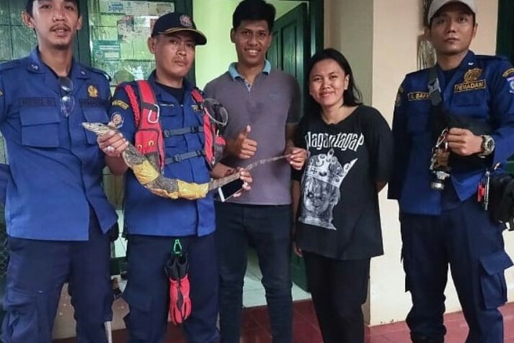 Dinas Pemadam Kebakaran dan Penyelamatan Kota Tangerang Selatan menangkap seekor biawak yang berada di atap plafon rumah warga Kebon Kopi Gang Benda Rt 02/04, Pondol Betung, Pondok Aren,  Tangerang Selatan, Senin (20/1/2020) malam.