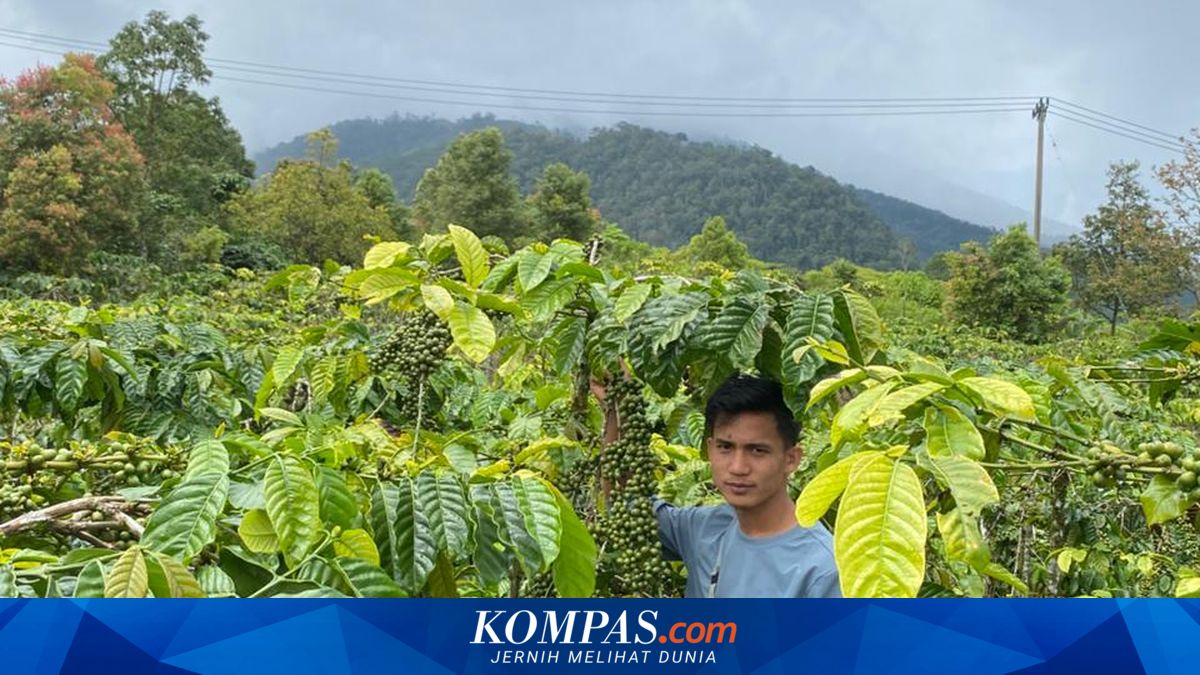 Pertama Kali di Indonesia, Komunitas di Lanskap Bujang Raba Terima Izin Dagang Karbon dari Menhut