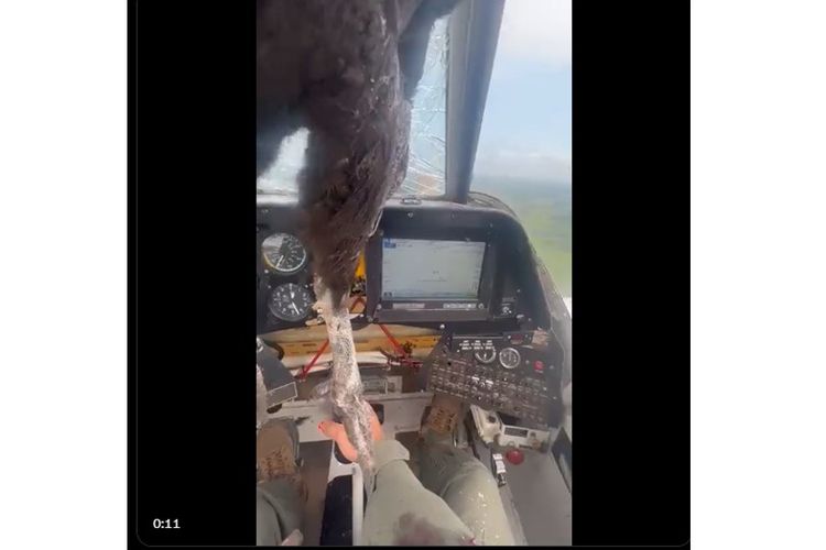 Tangkapan layar video burung menggelantung di kokpit pilot setelah menarbak pesawat