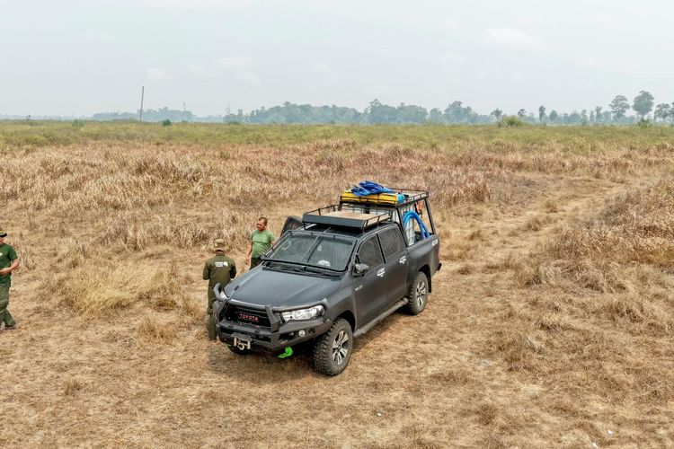 Kebakaran Titik Baru TN Way Kambas Belum Bisa Dipastikan Kondisinya, Petugas Harus Jalan Kaki 3 Jam