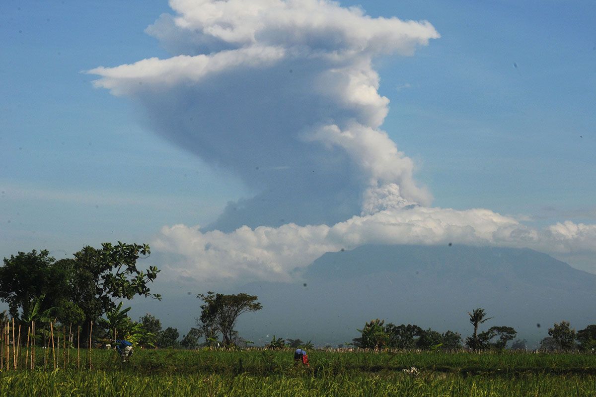 Erupsi Gunung Merapi terlihat dari Sawit, Boyolali, Jawa Tengah, Minggu (21/6/2020). Berdasarkan data pengamatan Balai Penyelidikan dan Pengembangan Teknologi Kebencanaan Geologi (BPPTKG), terjadi erupsi Gunung Merapi pada pukul 09.13 WIB dengan aplitudo 75 mm, durasi 328 detik dan tinggi kolom erupsi kurang lebih 6.000 meter dari puncak.