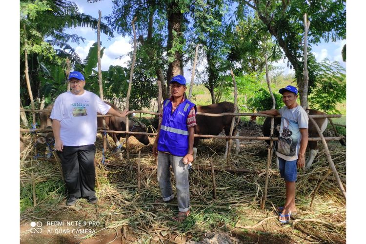 Peternak sapi asal Kupang, Nusa Tenggara Timur, Arnoldus dan Andreas bersama Vice President Communication and Development Human Initiative Andjar Radite