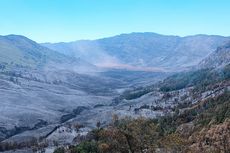 Kawasan Bromo Disebut Terbakar 540 Hektare, Ini Kata TNBTS