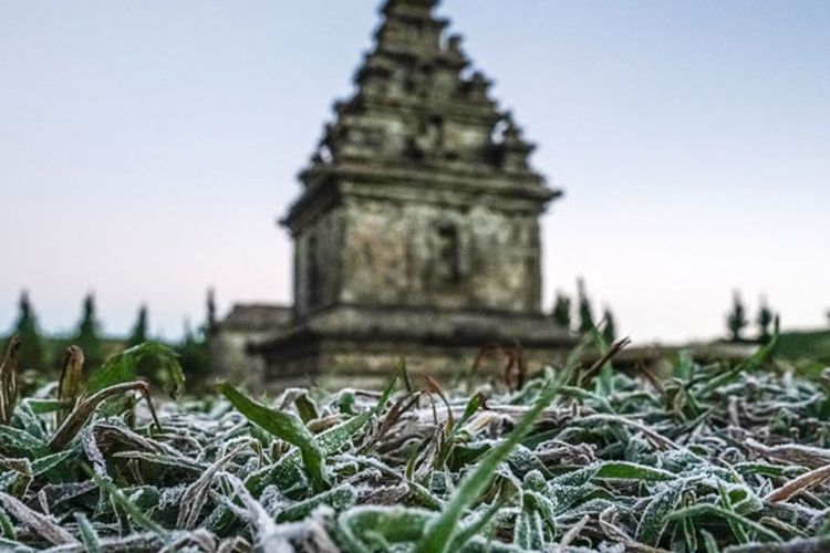 Embun beku yang muncul akibat penurunan suhu hingga minus tujuh derajat celcius menyelimuti kompleks Candi Arjuna, di dataran tinggi Dieng, Banjarnegara, Jawa Tengah, Selasa (25/6/2019). Embun beku yang muncul akibat penurunan suhu ekstrem hingga di bawah nol derajat celcius, telah terjadi sebanyak sepuluh kali sejak pertengahan Mei, dan menjadi daya tarik bagi wisatawan. 