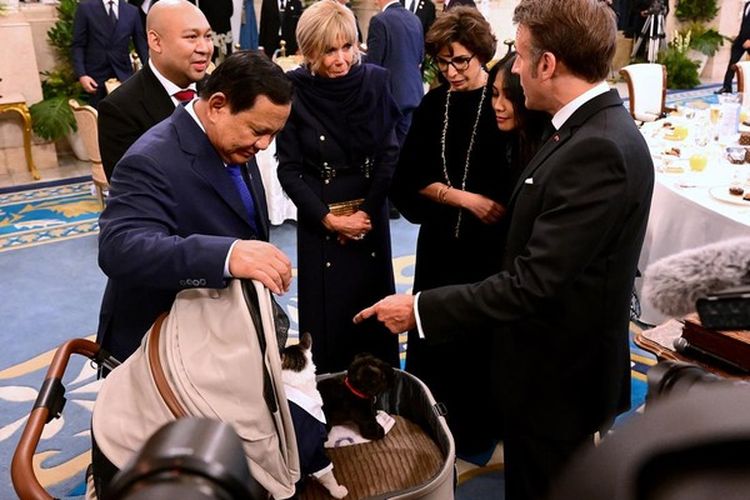 Momen Macron dan Istri Tengok Kucing Prabowo, Bobby Kertanegara