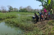 Mengintip Lubang Tambang Pasir di Kulon Progo yang Kini Jadi Kolam Ikan...