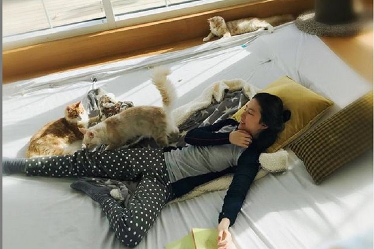 Liu Yifei mengunggah foto di Instagram bersama kucing-kucingnya. Liu Yifei merupakan pemeran Mulan dalam film live action Mulan yang akan tayang Maret 2020.