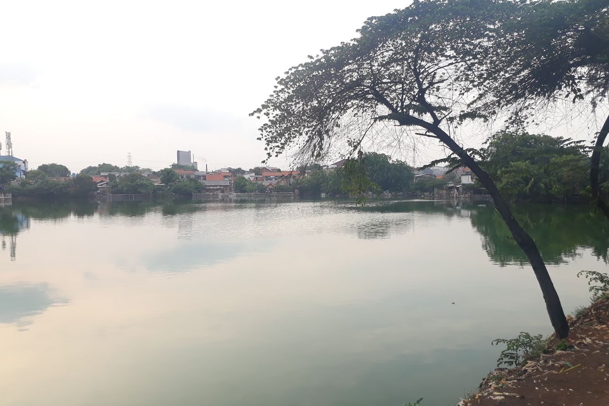 Situ Rawabadung di Jalam DR. Radjiman Widyodiningrat, Kelurahan Jatinegara, Kecamatan Cakung, Jakarta Timur, Selasa (3/12/2019).