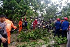 Pohon Tumbang di Balai Kota DKI, Diduga Akar Lapuk Ditambah Angin Kencang