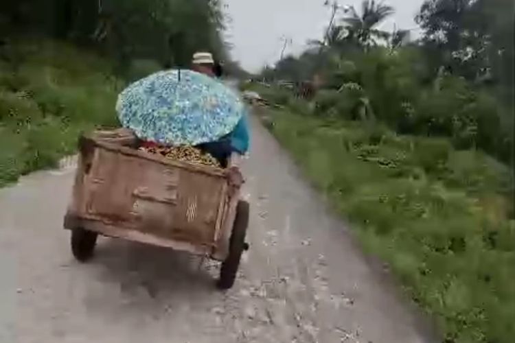 Kisah Pilu di Meranti, Jenazah Dibawa Menggunakan Gerobak Kayu karena Ambulans Rusak