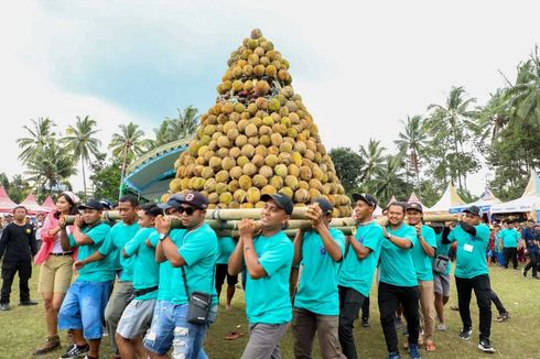 Khofifah Kenalkan Varian Durian Baru Asal Blitar, Durian Sumberasri