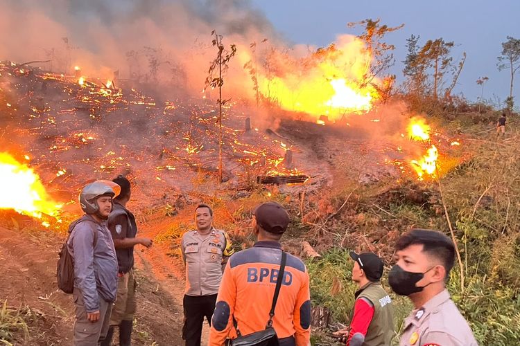 Karhutla di Sukabumi Diduga karena Tangan Jahil, 18 Hektar Lahan Perhutani Terbakar