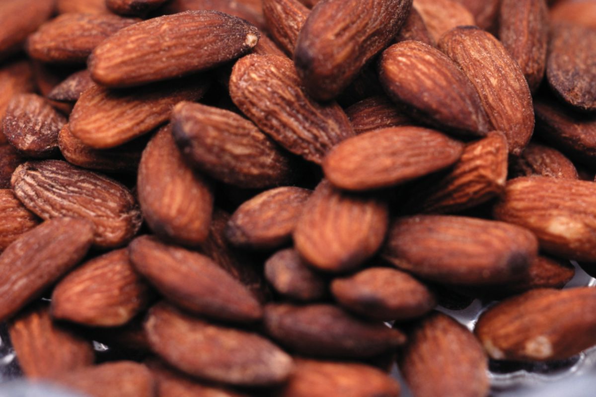 Ilustrasi almond