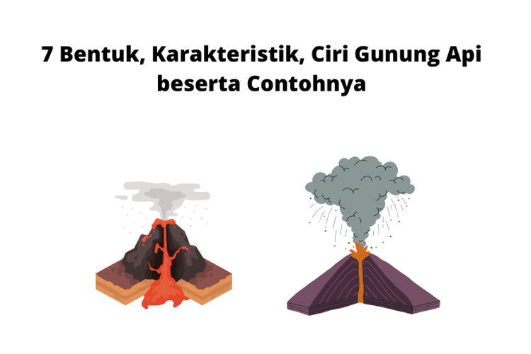 Gunung api atau gunung berapi adalah lubang kepundan atau rekahan dalam kerak bumi tempat keluarnya cairan magma atau gas atau cairan ke permukaan bumi.