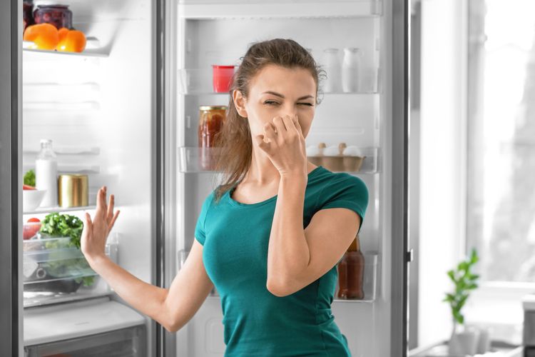 Bau tidak sedap yang muncul akibat lemari es di rumah mengalami kebocoran freon