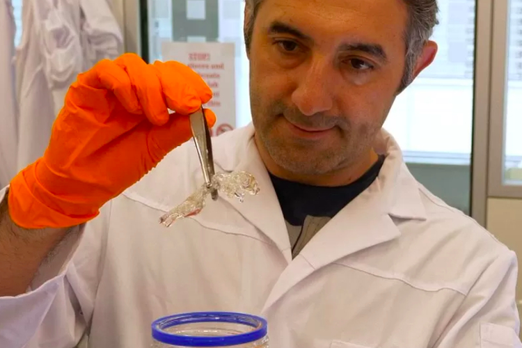 Penemuan metode pengembangan obat kanker menggunakan tikus transparan