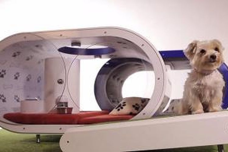 Samsung Dream Doghouse, hunian anjing yang berteknologi tinggi