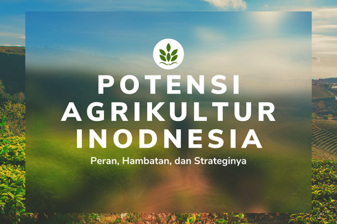 Potensi Ekonomi Agrikultur Indonesia, Peran, Hambatan, dan Strategi
