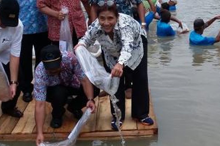 Menteri KKP Susi Pudjiastuti menebar ratusan ribu ekor benih ikan endemik di Sungai Ciseel, Kecamatan Padaherang, Kabupaten Pangandaran, Jumat (6/11/2015).